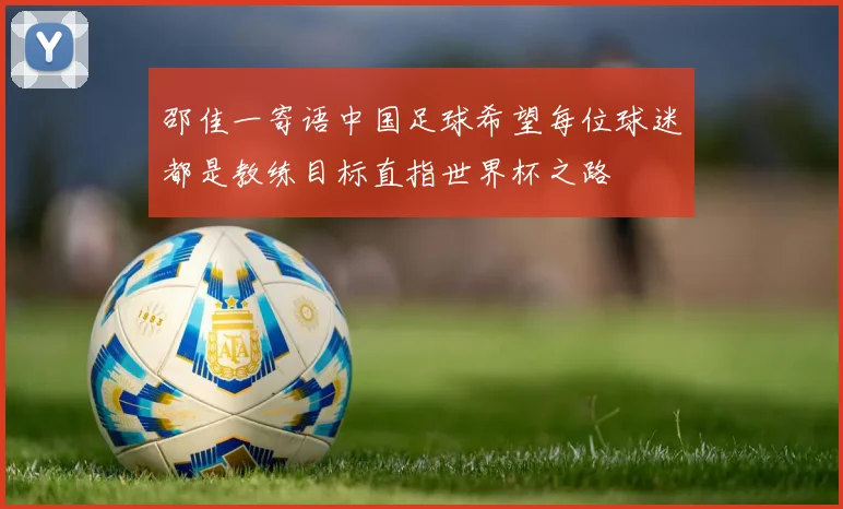 邵佳一寄语中国足球希望每位球迷都是教练目标直指世界杯之路