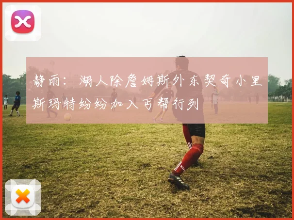 静雨：湖人除詹姆斯外东契奇小里斯玛特纷纷加入丐帮行列