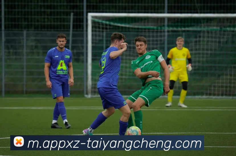 太阳城平台生态图